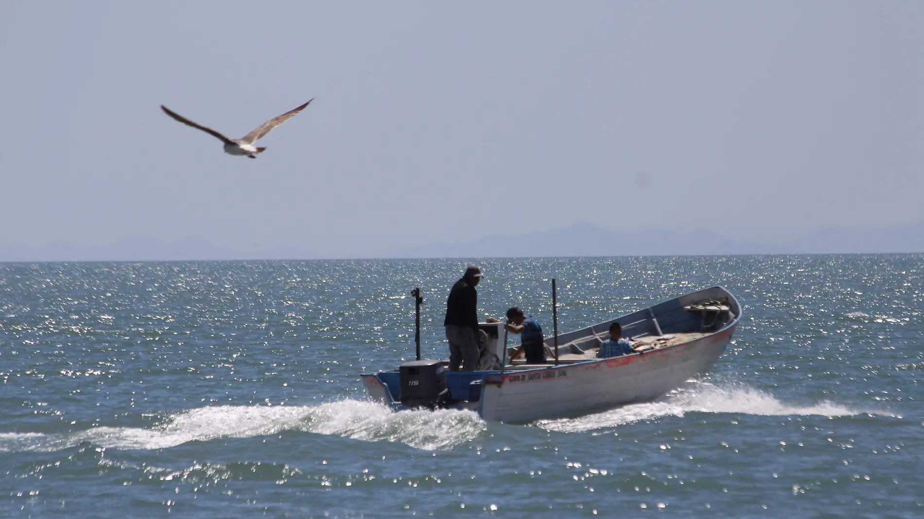 El clima ha afectado seriamente al Golfo de Santa Clara, ya que, nuevamente no pueden a salir a pescar, debido a que el mar se convierte en un peligro para los pescadores.VF (2)